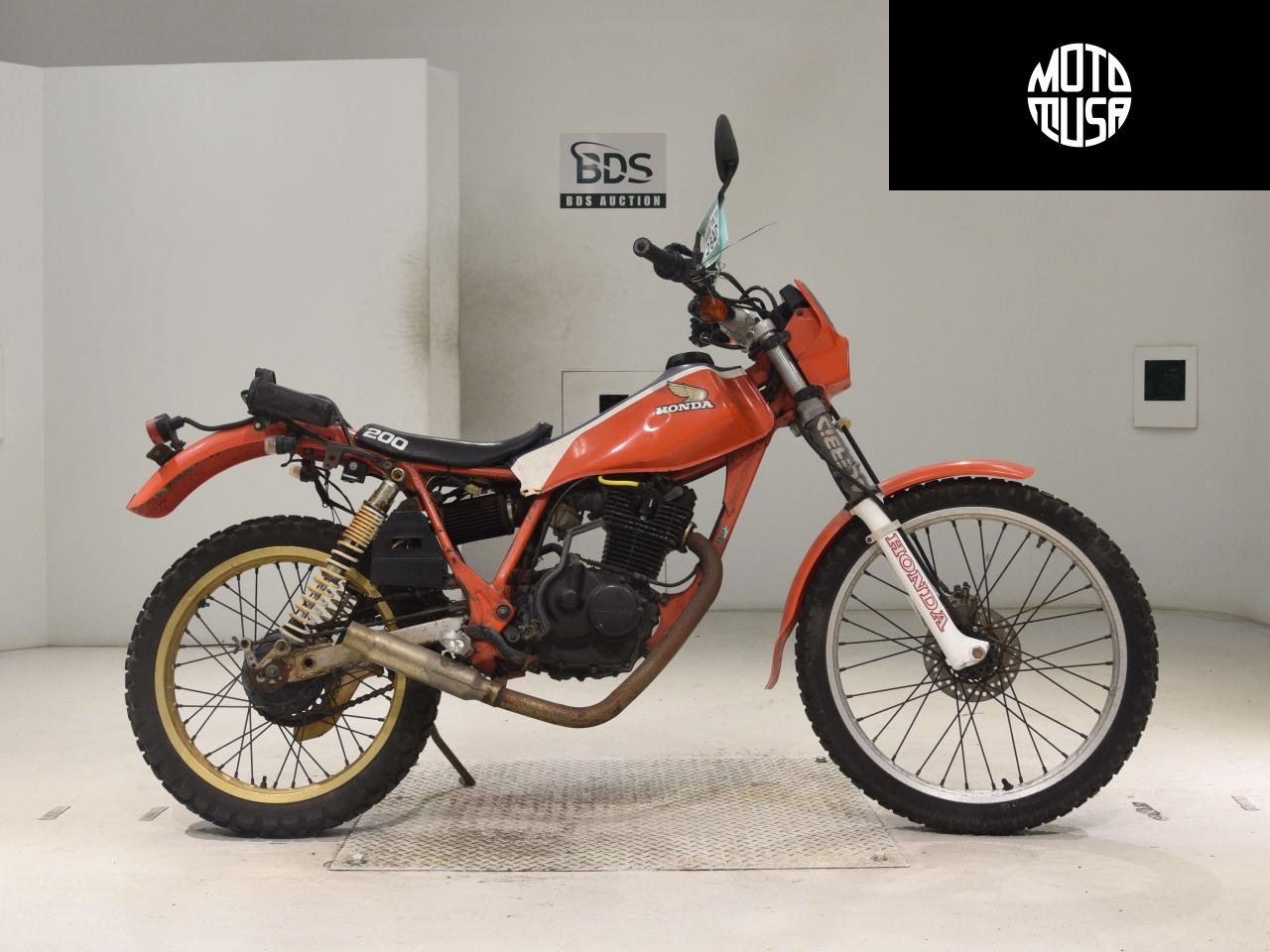 Honda TLR200 - фото 1
